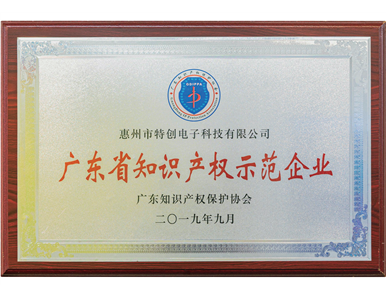 2019年 广东省知识产权示范企业